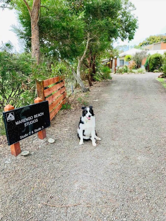 Marengo Beach Studios- Pet Friendly Dış mekan fotoğraf